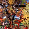 Enchanted Christy Forest - Koddis