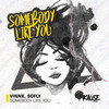 Somebody Like You - Vinne&soFLY