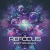 Spirit Molecule - Refocus