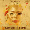 Autumn Tips (Original Mix) - DJ Buhle