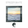 Digital Waves - Strider White