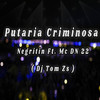 Putaria Criminosa (Explicit) - Dj tom zs&MC Negritin&DN 22