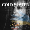 Cold Winter - Synthetic Impulse