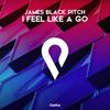 I Feel Like a Go - James Black Pitch