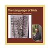 Water Bird - Charles Rahmat Woods
