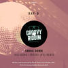 Swing Down (Original Mix) - Ray-D