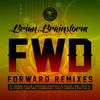Higher Heights (Original Mix) - Brian Brainstorm&Liondub&Capital D