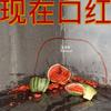 说出海啸是本事 - 小老虎jfever