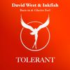 Burn-in (Original Mix) - David West&Inkfish