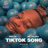 TikTok Song (feat. Mr. Polska & Puri|Explicit) - ROLLÀN&Mr. Polska&Puri