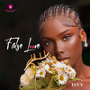 False Love (Explicit) - PMW&Iivy