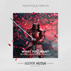 What You Want (Ballester Remix) - Monoteq&Toricos&Ballester