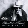 Never Be The Same Again. - Ghostface Killah&Carl Thomas&Raekwon