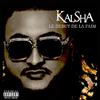 Les lions de la casse (Explicit) - Kalsha&Mister You&Al Bandit&Blanka&Blaze&Leck&RJ&Double M&A-Deal&Zifou&Biwai