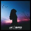 Let You Down(feat. Danni Carra) - Jay Bird&Danni Carra