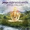 Shiva Valley (Original Mix) - Pogo&Hypnocoustics