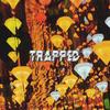 TRAPPED (feat. Camillo) (Explicit) - Hanno&Camillo