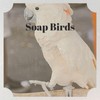 Soap Birds - Watt Generated Benjamins