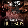 En los Puritos Huesos - Norteño 4.5