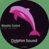 Wonder Sound (Original Mix) - Jose Vilches