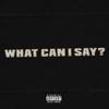 What Can I Say (Explicit) - FSB