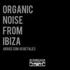 Arroz Con Vegetales - Organic Noise From Ibiza