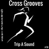 Trip A Sound (Original Mix) - Croos Grooves