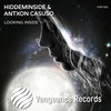 Looking Inside - Hiddeminside&Antxon Casuso