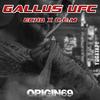 Gallus UFC (Explicit) - C.E.M&(Echo)