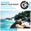 What's Your World (Dyukanya Remix) - Gelvetta&Dyukanya