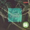 Cigale (Dubaa Remix) - Art Patrice