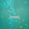 This (Massive Deep Beats) - Deep Massive