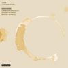 Java (Latenta Project Remix) - Satoshi Fumi