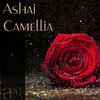 Camellia (Original Mix) - Ashai