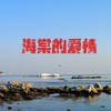 海棠树的风（板胡版） - 南宫煌琰