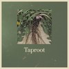 Taproot - Quarterstep Productions