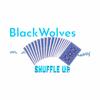 SHUFFLE UP (Explicit) - Shockwave313&Sweet T.