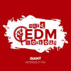Giant (Workout Mix Edit 140 bpm) - Hard EDM Workout