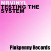 Testing The System (Original Mix) - Mr Vinyl