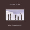 Black Sarabande - Robert Haigh