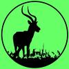 Voices (Original Mix) - Forest Weed