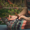 Roaring Waterfall - Zen Meditation Guru