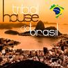 TRIBAL HOUSE DO BRASIL (2014 Continuous Mix) - Vari