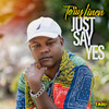 Just Say Yes (Instrumental) - terry linen