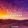 Starkness (Original Mix) - Andy GRooVE