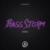 Bass Storm (Original Mix) - HUMNG