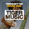 Let It Life (The Street Dancer Dub Mix) - Mark Chapter