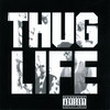 Cradle To The Grave (Explicit) - Thug Life