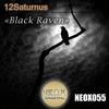 Black Raven (Original Mix) - 12Saturnus