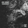 Shot - Bad Signal